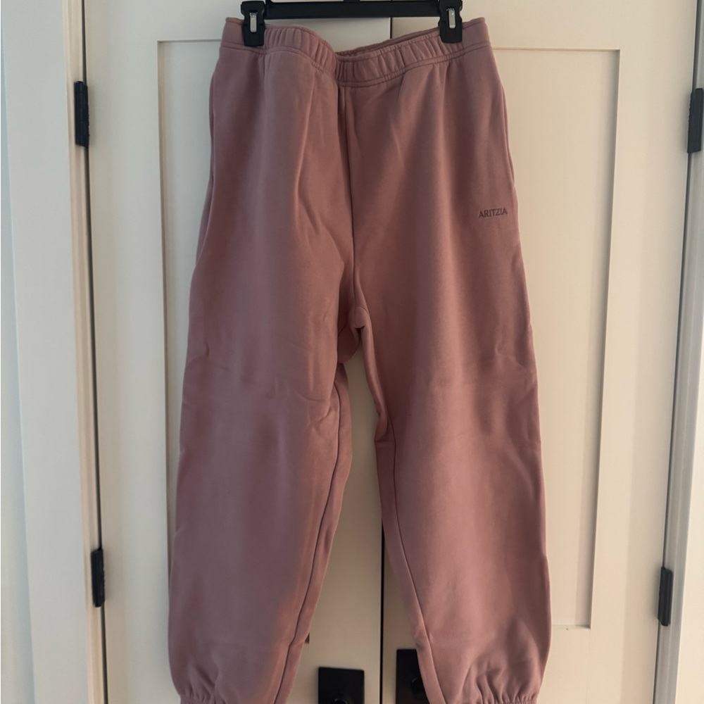 Aritzia Sweatfleece Mega Fit Claremont Color